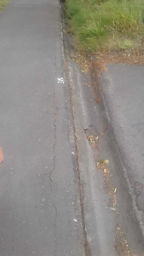 Roading/Streets, a report photo