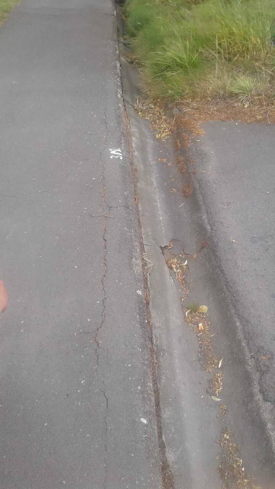 The photograph attached to this roading/streets report