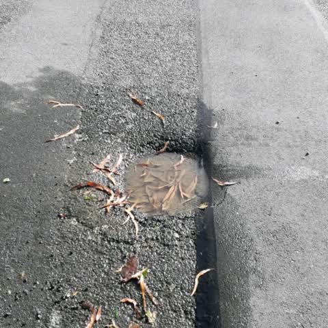 Roading/Streets, a report photo