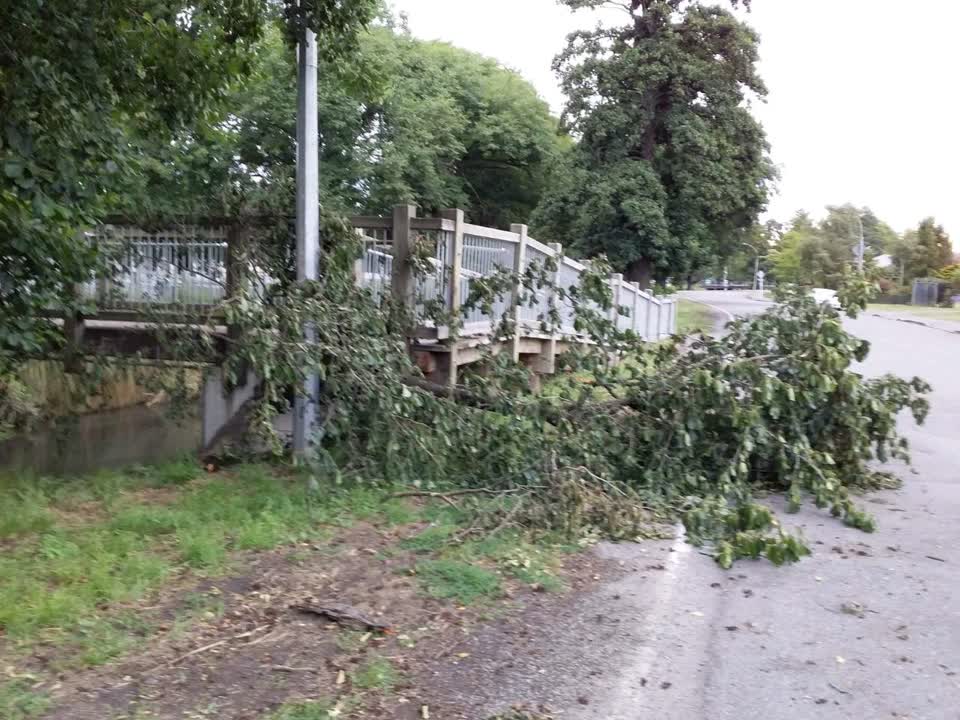 The photograph attached to this parks report