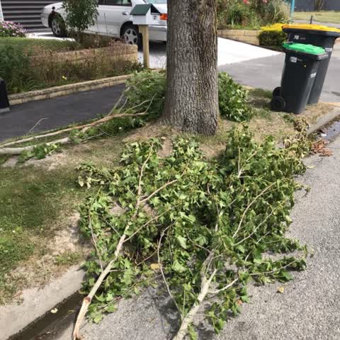 Roading/Streets, a report photo
