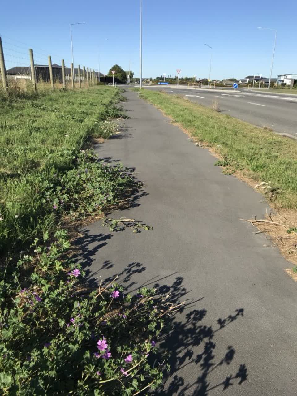 The photograph attached to this roading/streets report