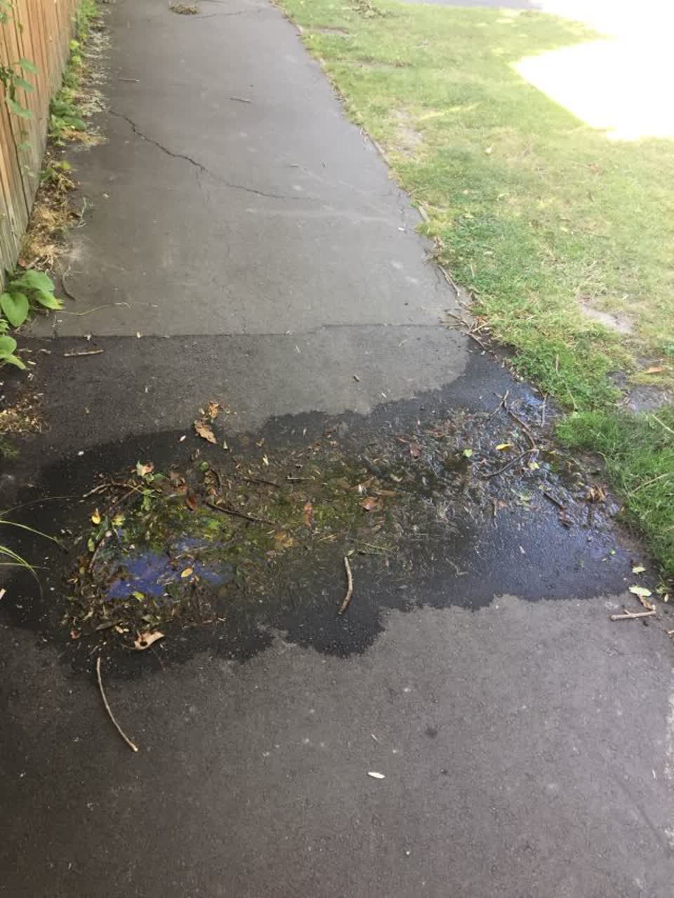 The photograph attached to this water supply report