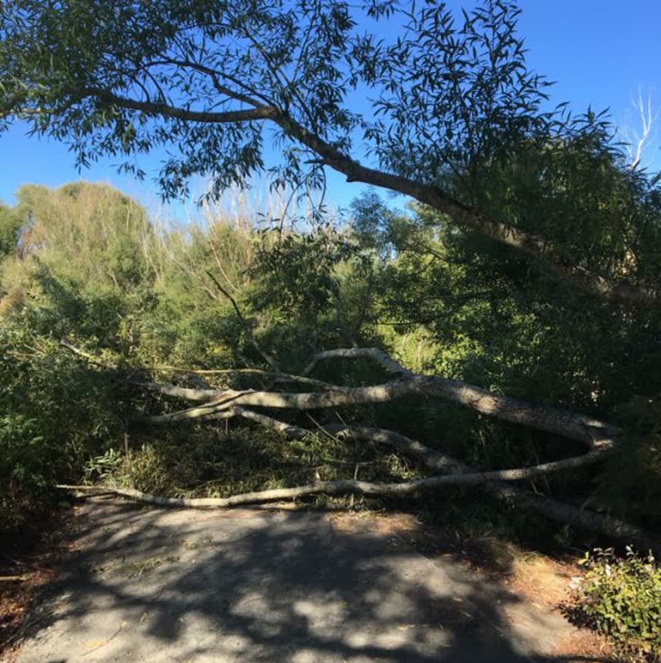The photograph attached to this parks report