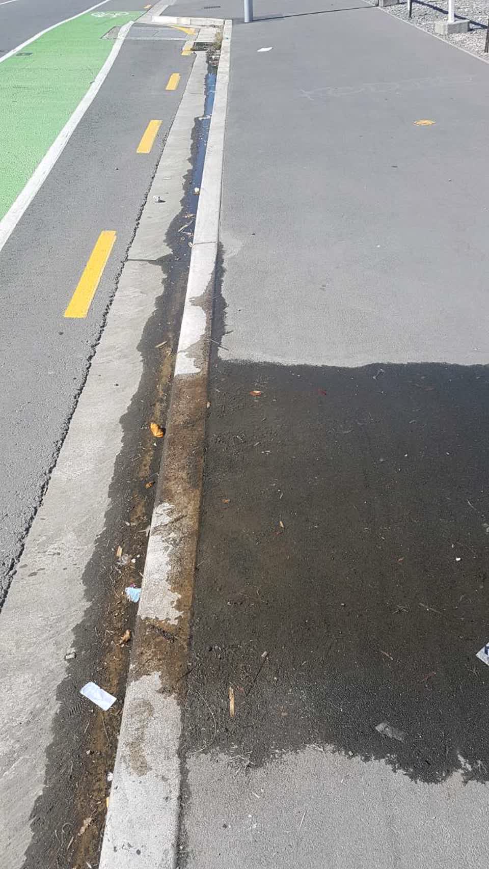 The photograph attached to this water supply report