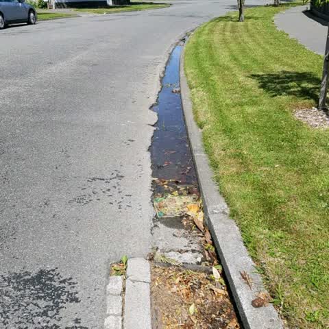 Water Supply, a report photo