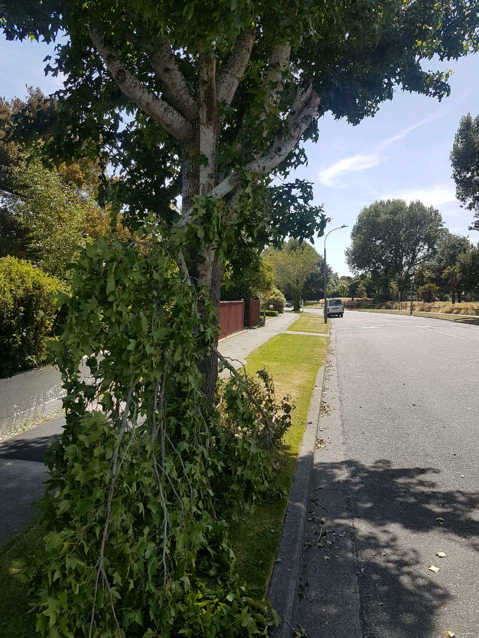 The photograph attached to this roading/streets report