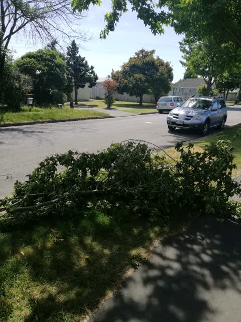 Roading/Streets, a report photo