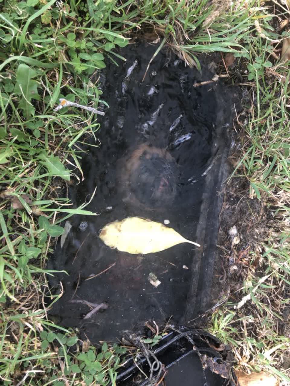 The photograph attached to this water supply report