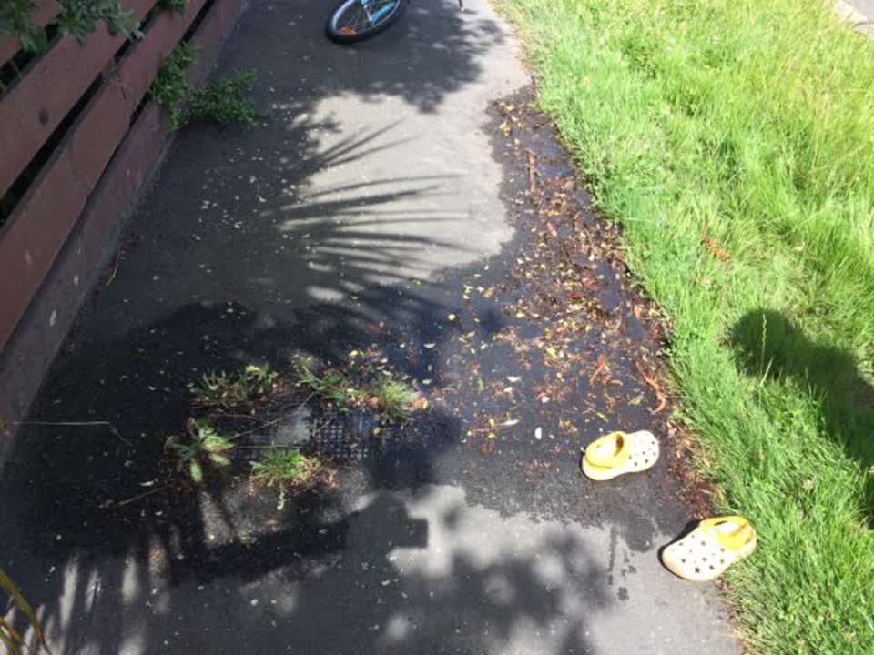 The photograph attached to this water supply report