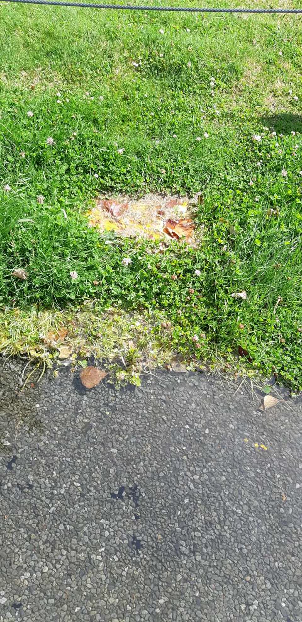 The photograph attached to this water supply report