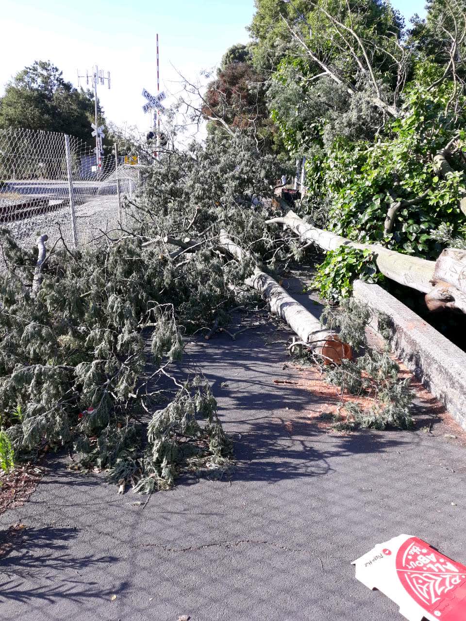 The photograph attached to this roading/streets report