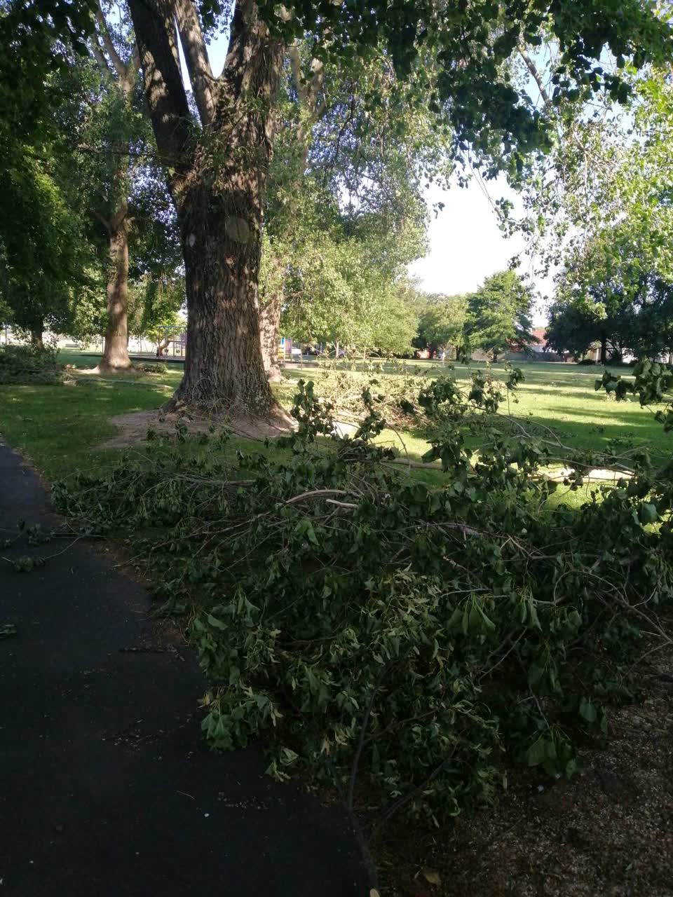 The photograph attached to this parks report