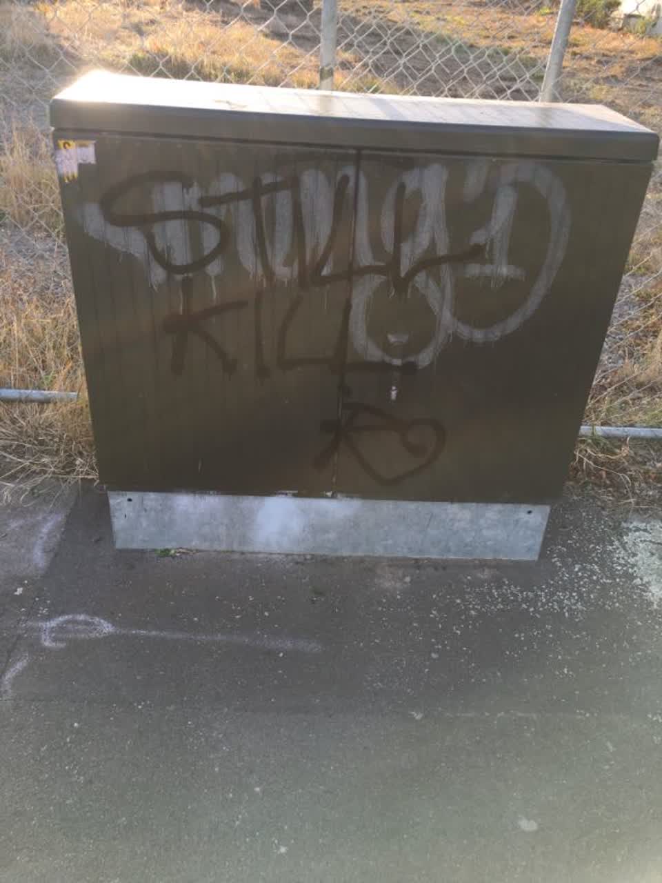 The photograph attached to this graffiti report