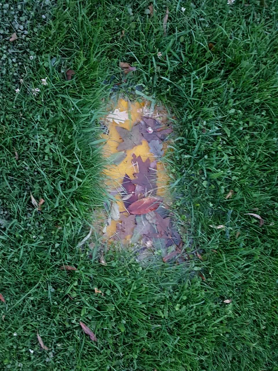The photograph attached to this water supply report