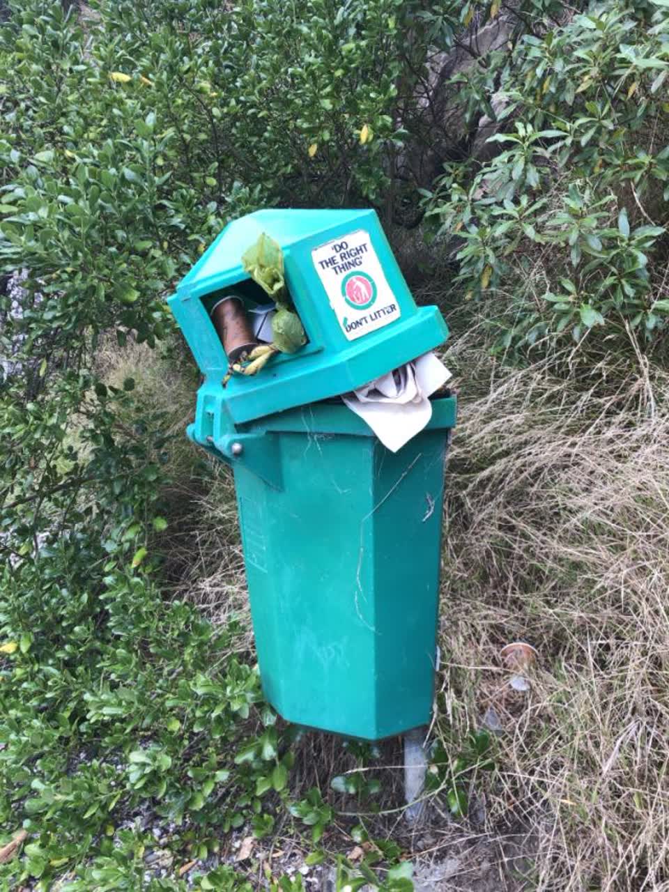 The photograph attached to this rubbish/recycling report