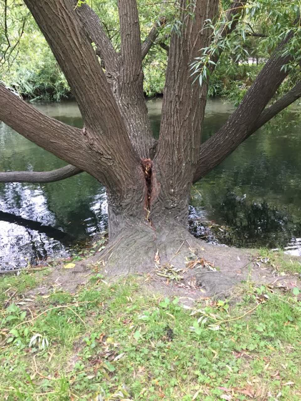 The photograph attached to this parks report