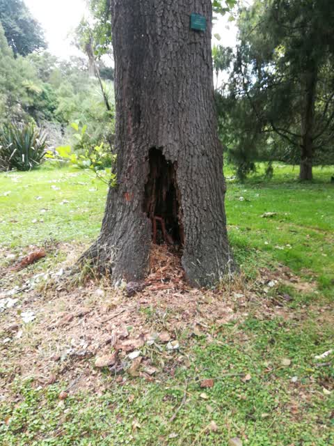 Parks — a report photo