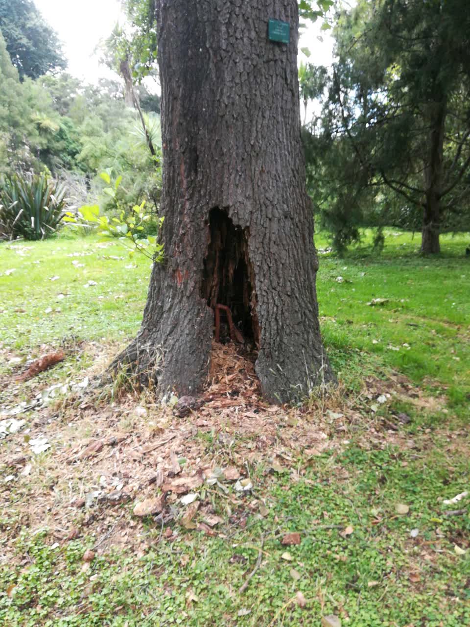 The photograph attached to this parks report