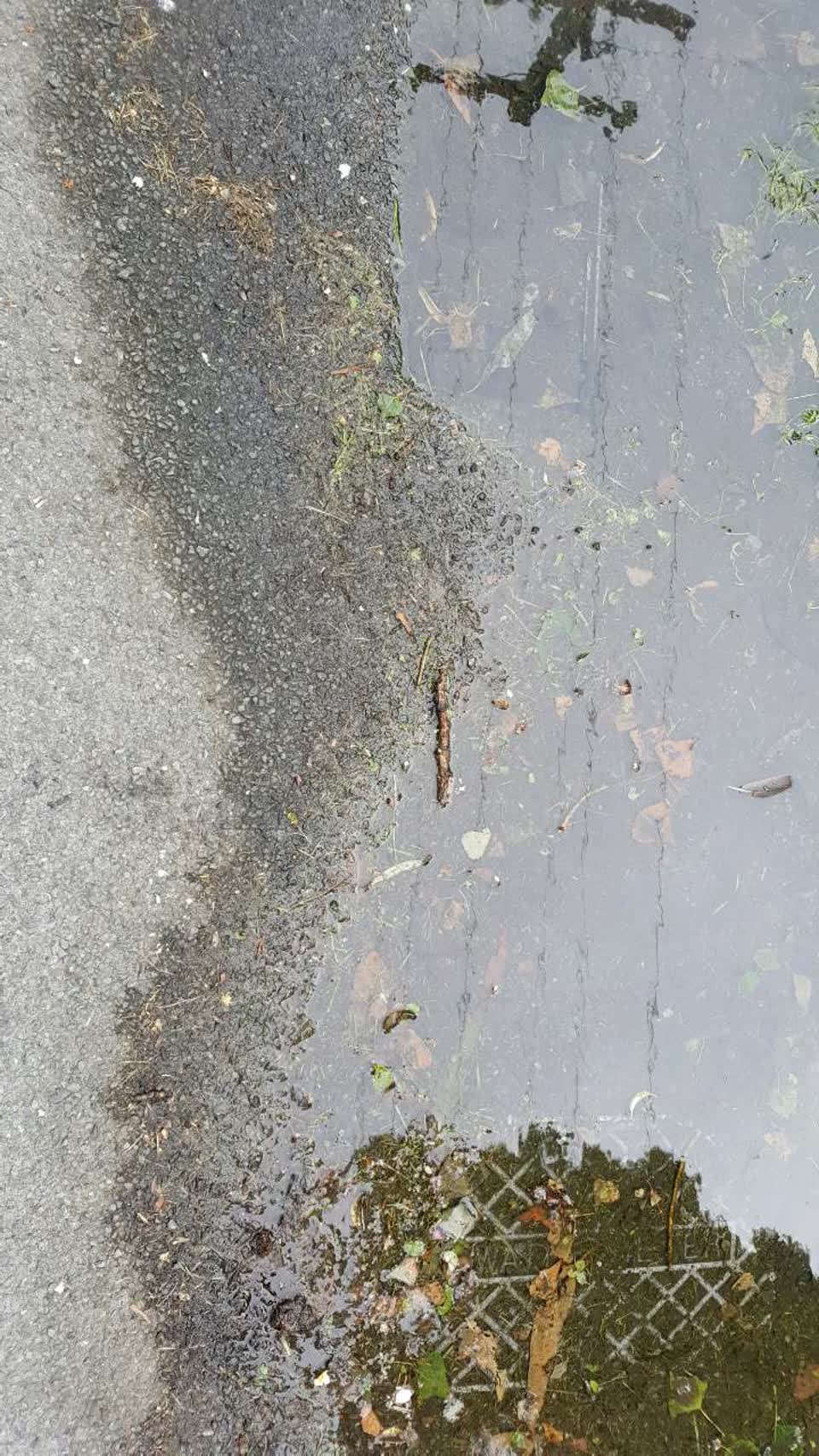 The photograph attached to this water supply report