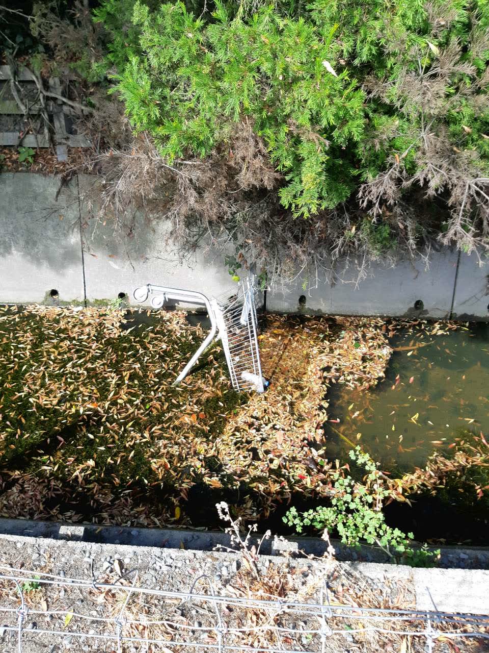 The photograph attached to this parks report
