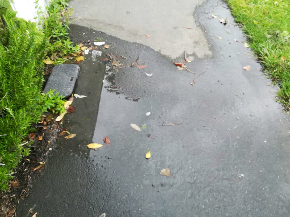 The photograph attached to this water supply report