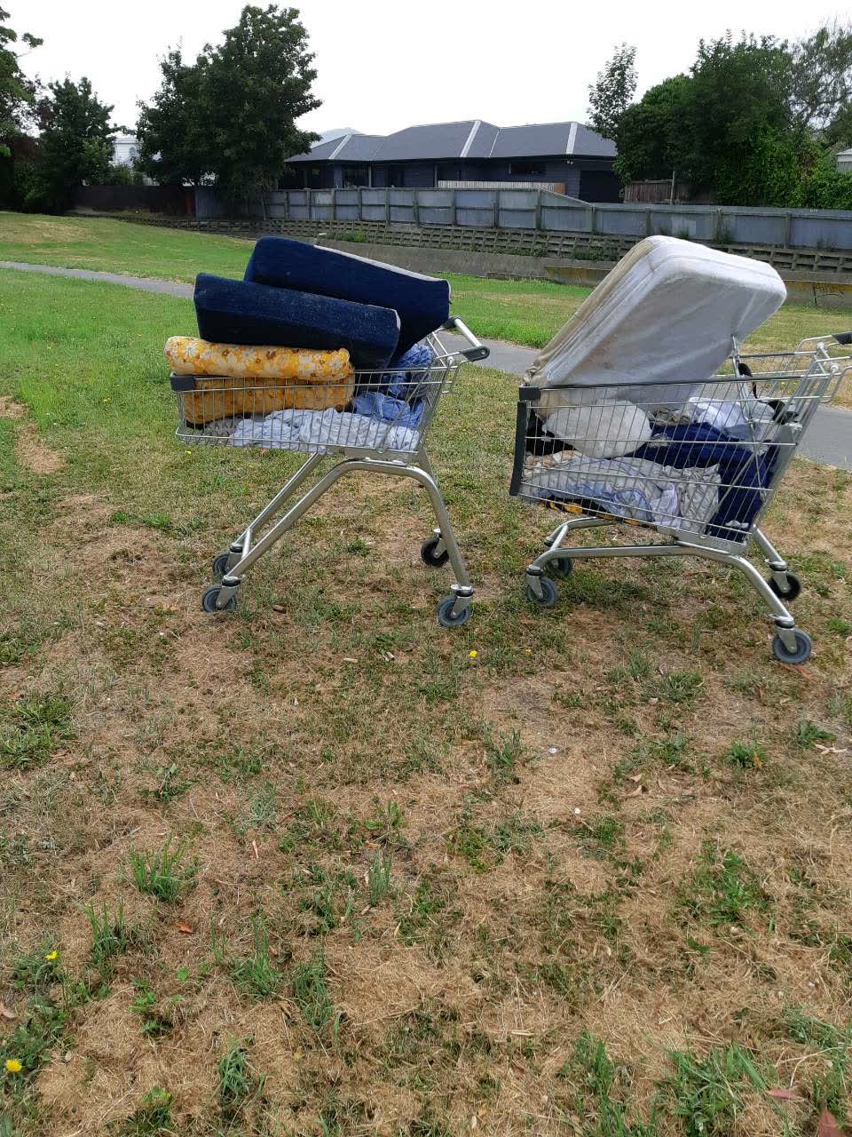 The photograph attached to this parks report