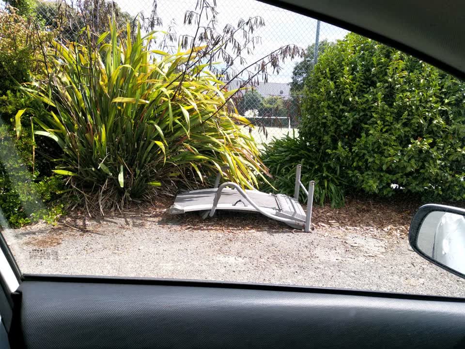 The photograph attached to this parks report