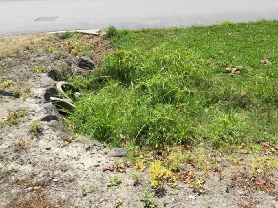 The photograph attached to this wastewater/stormwater report