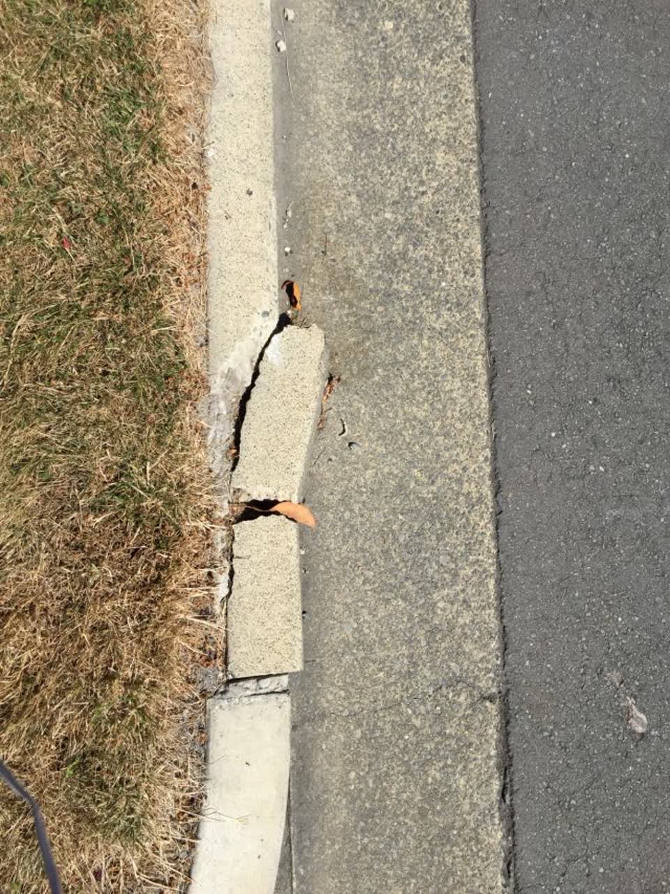 The photograph attached to this roading/streets report