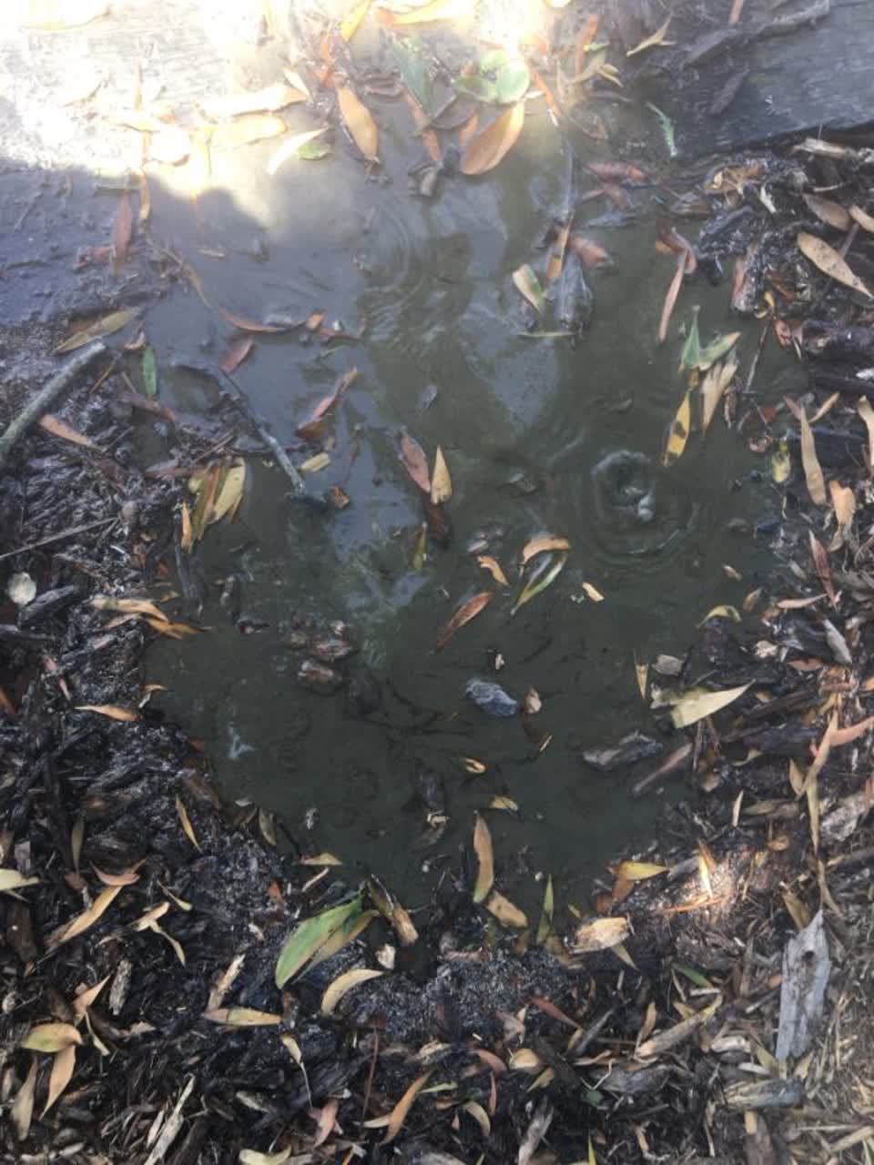 The photograph attached to this water supply report