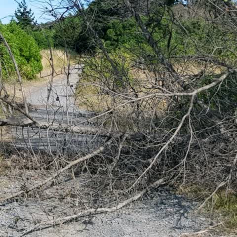 Parks, a report photo