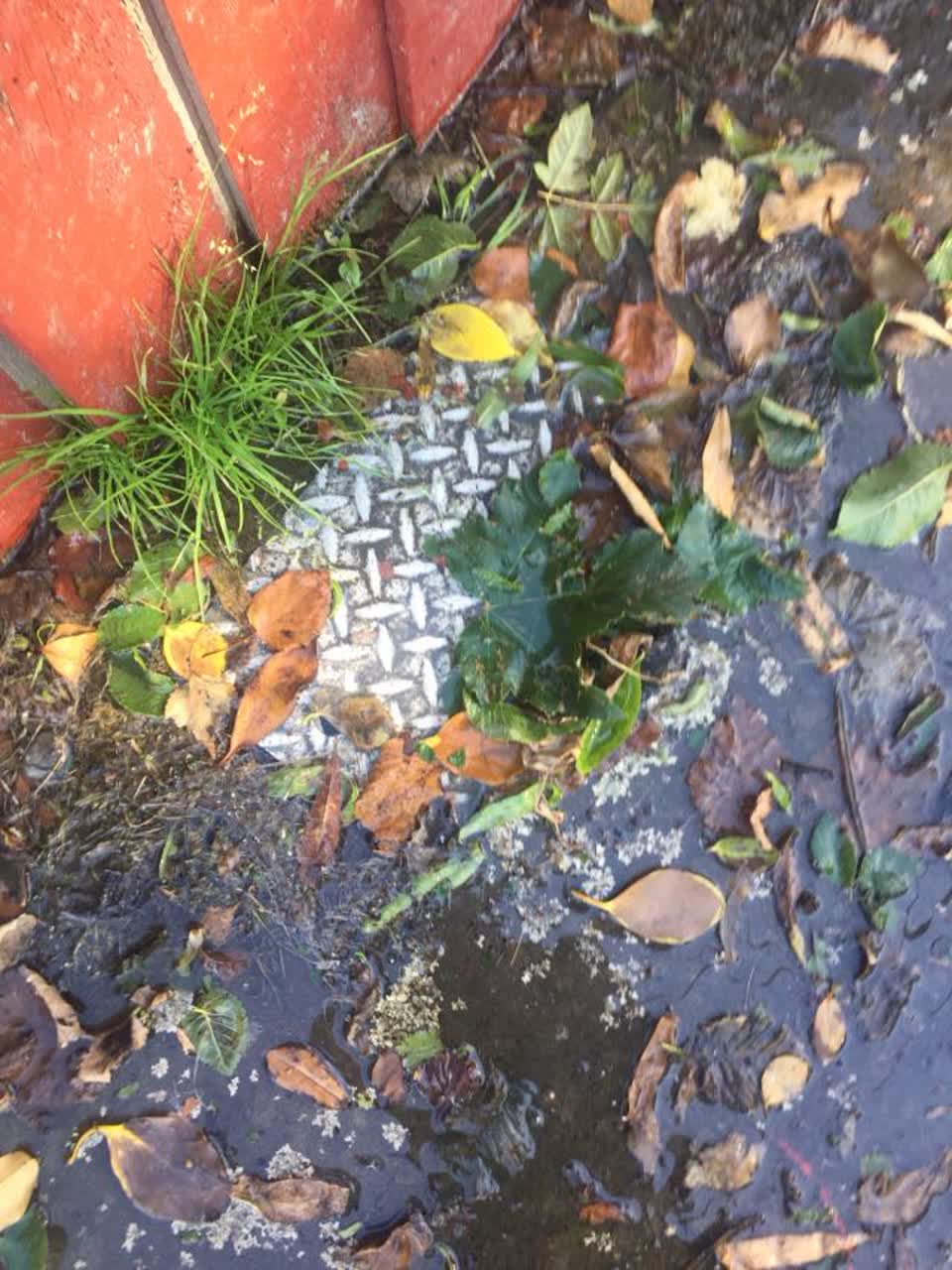 The photograph attached to this flooding report