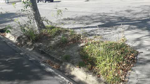 Roading/Streets, a report photo