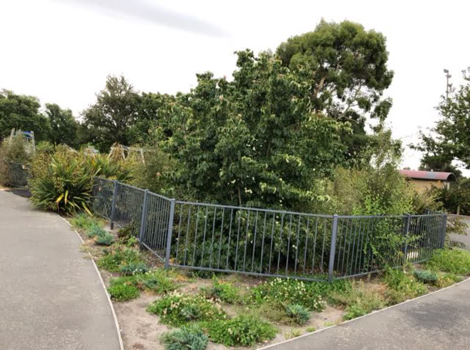 The photograph attached to this parks report