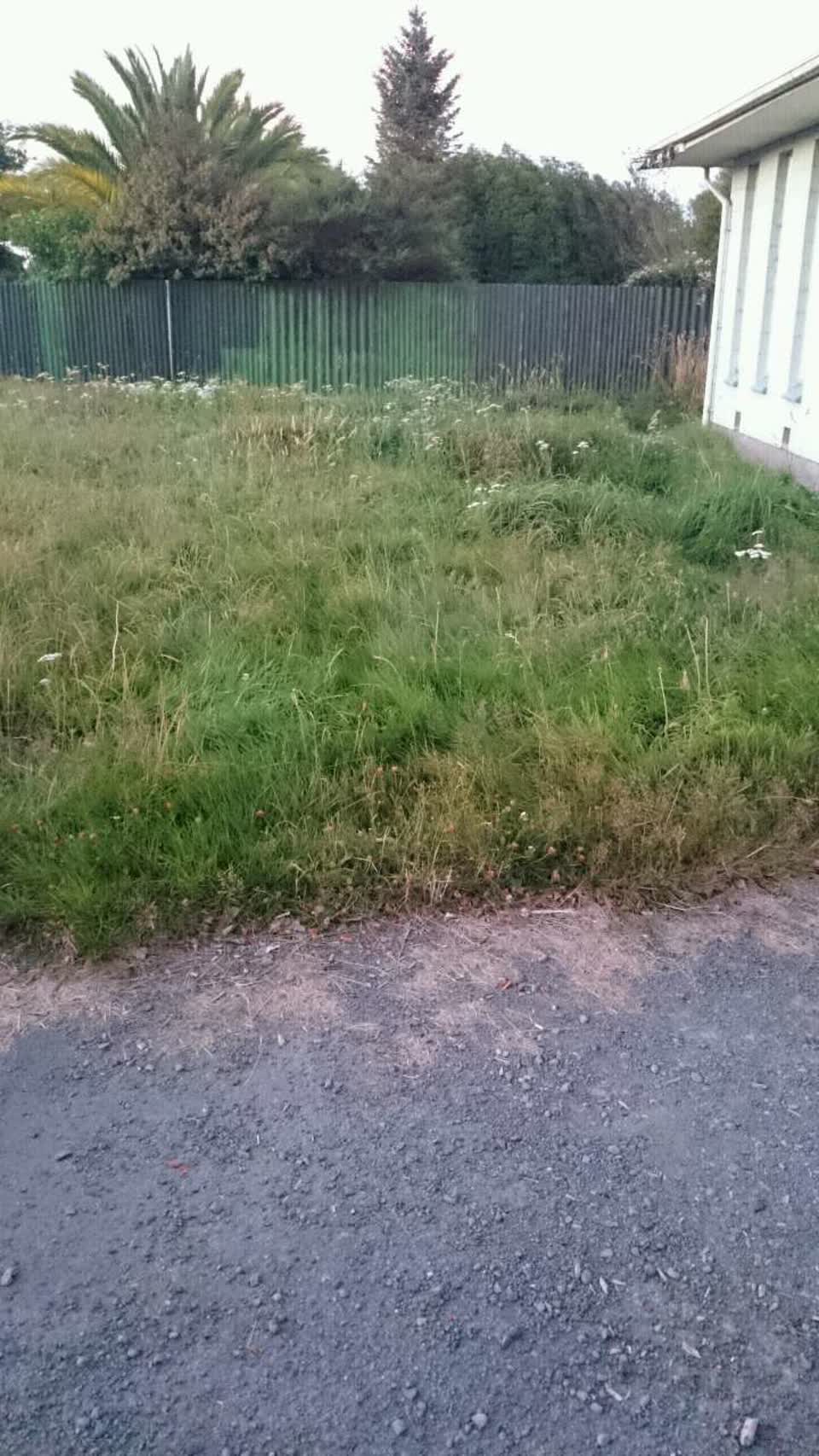 The photograph attached to this parks report
