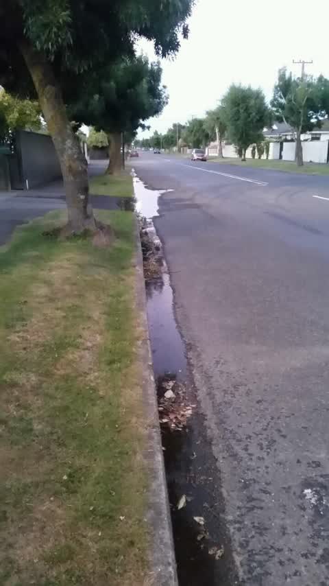Water Supply, a report photo