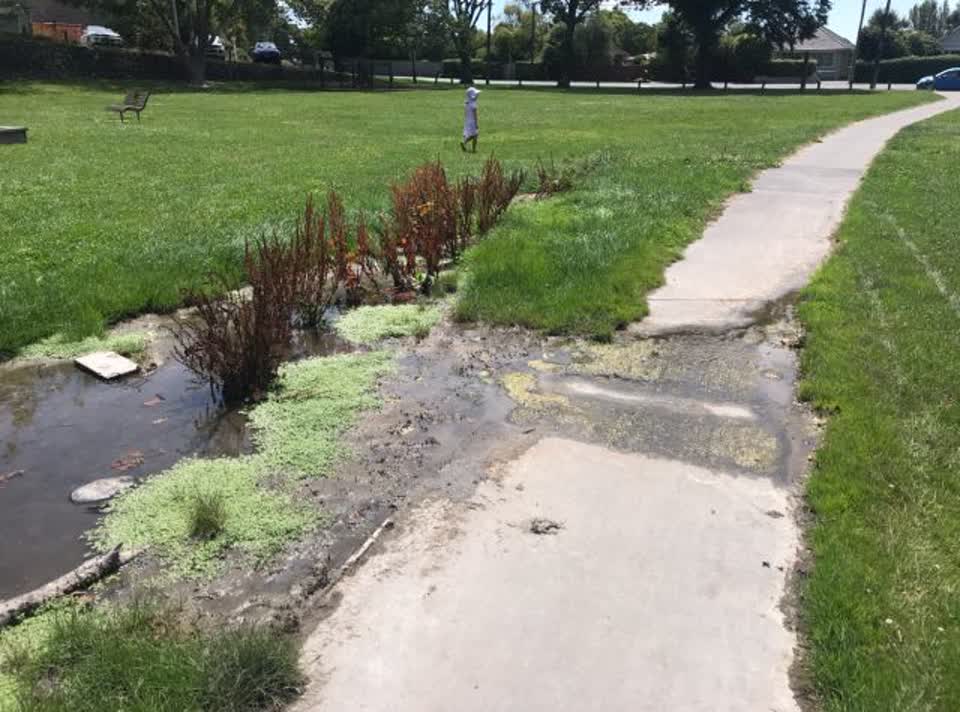 The photograph attached to this parks report
