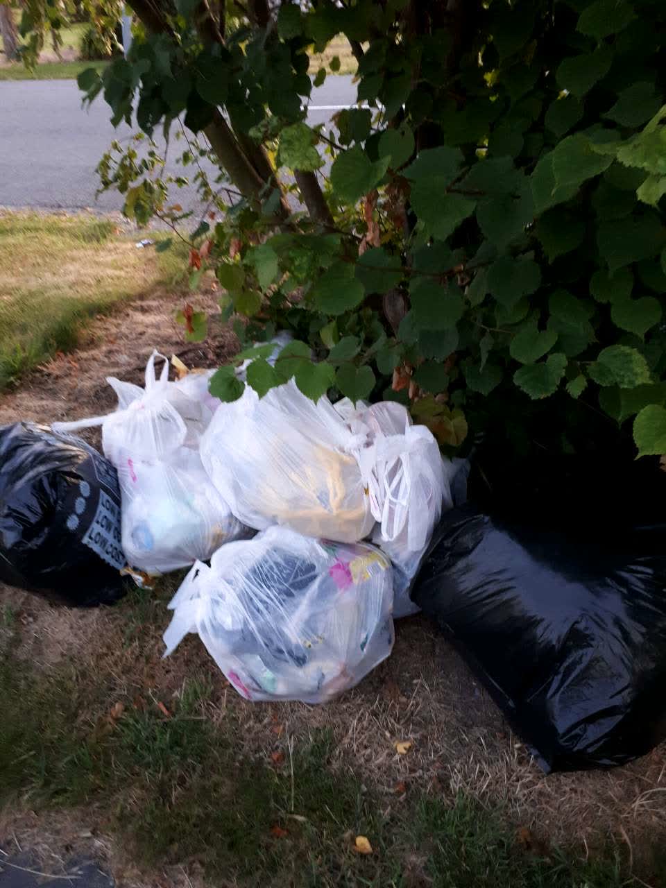 The photograph attached to this rubbish/recycling report