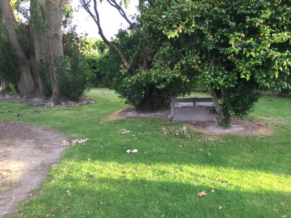 The photograph attached to this parks report