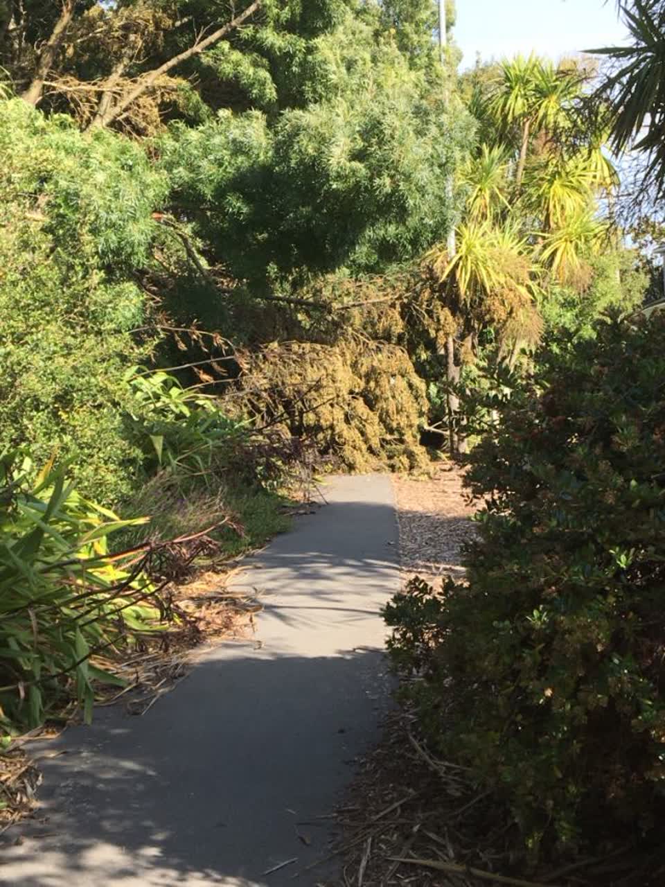 The photograph attached to this parks report
