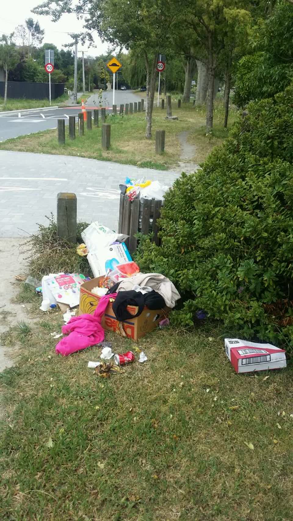 The photograph attached to this rubbish/recycling report