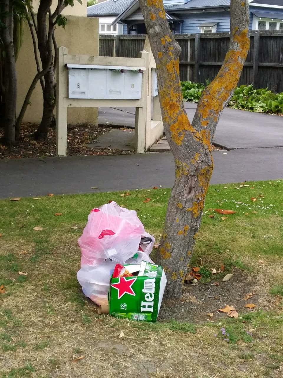 The photograph attached to this rubbish/recycling report