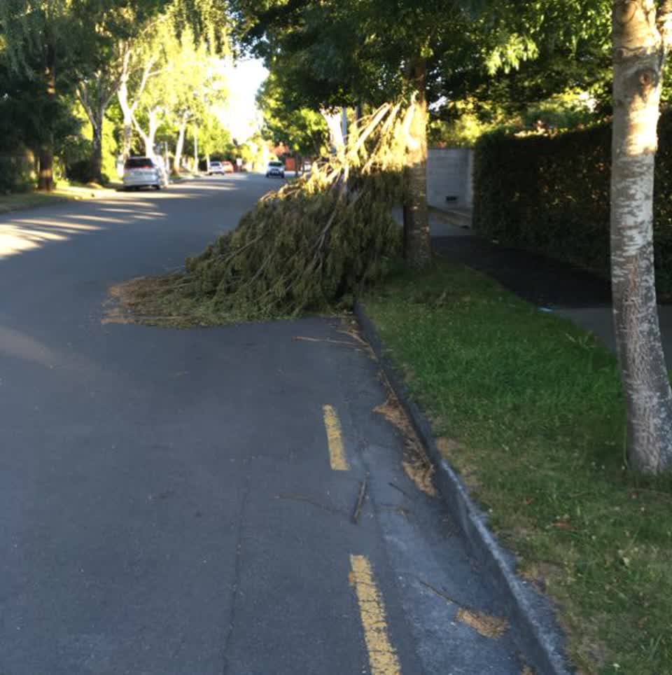 The photograph attached to this roading/streets report
