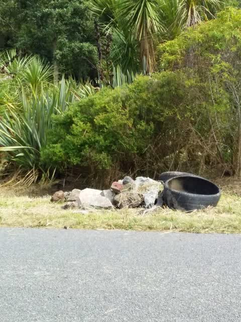 Rubbish/Recycling, a report photo