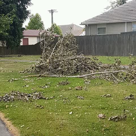 Parks, a report photo