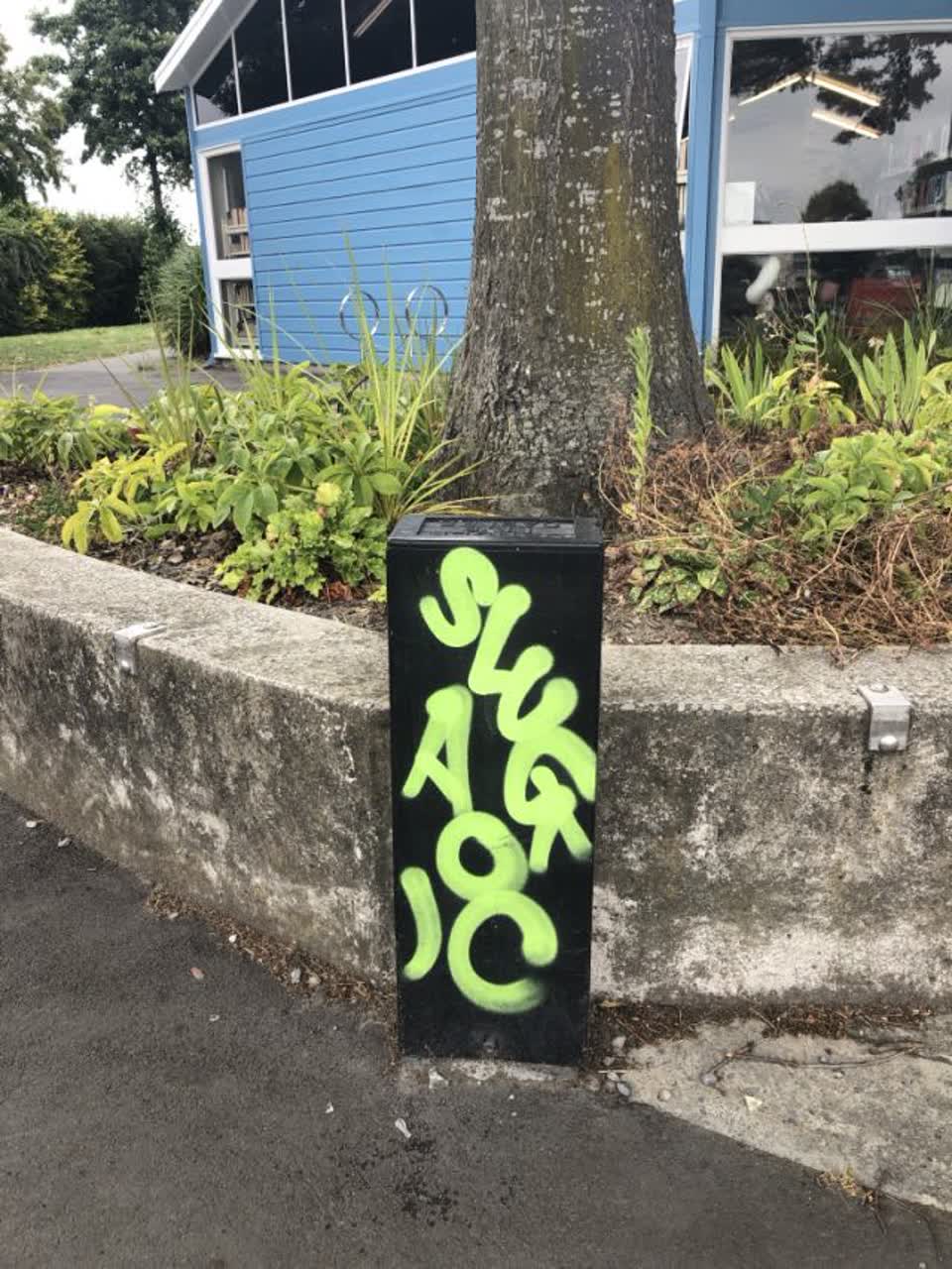 The photograph attached to this graffiti report