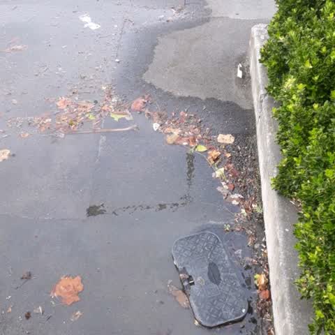 Flooding, a report photo