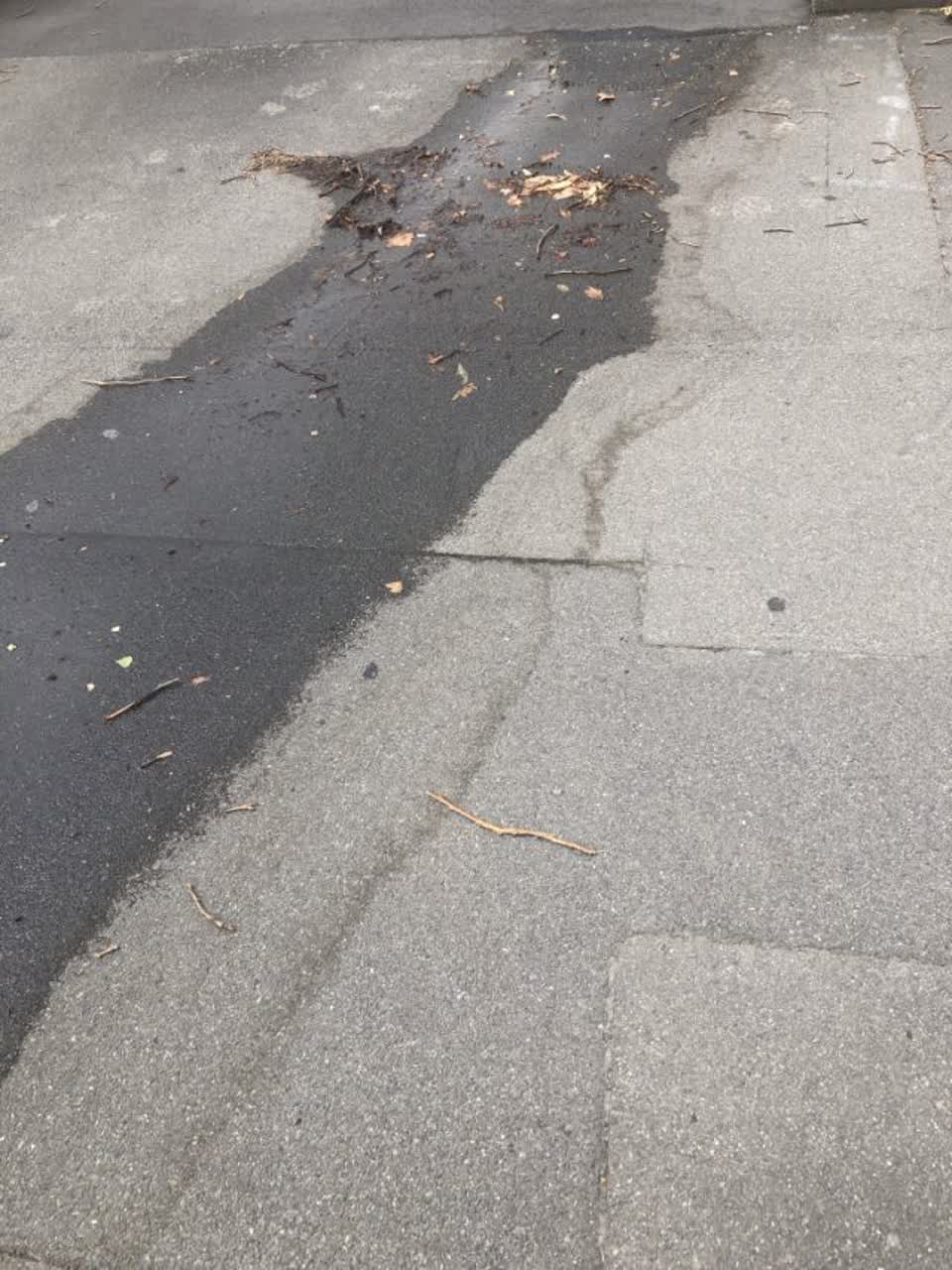 The photograph attached to this water supply report