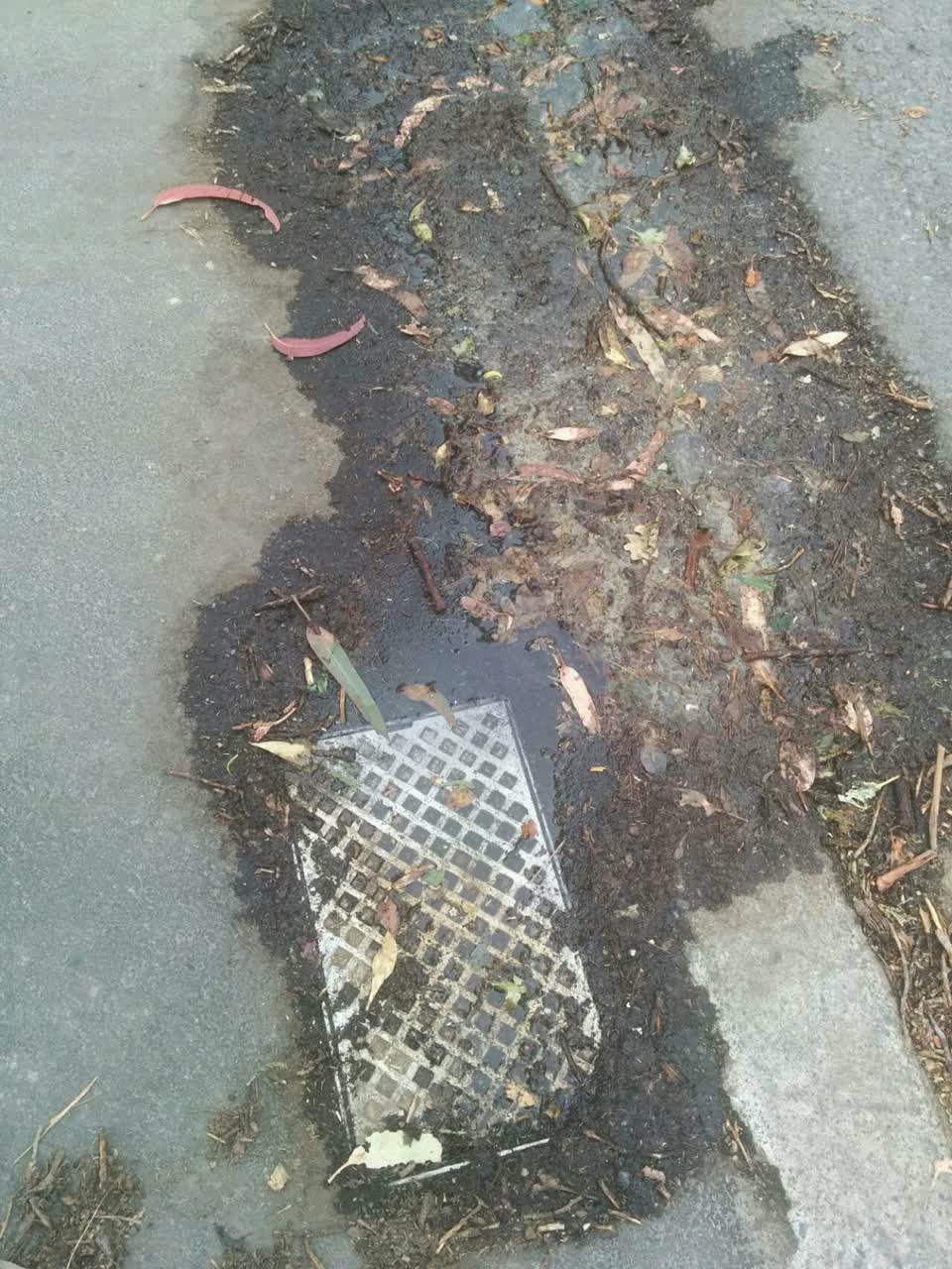 The photograph attached to this water supply report